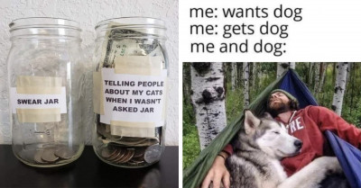 19 Cute and Hilarious Posts About Cat and Dog Pets