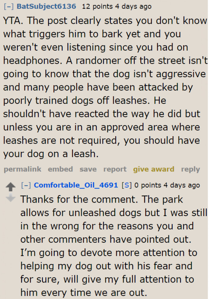 An Unleashed Dog Could Be a Threat to Other People.