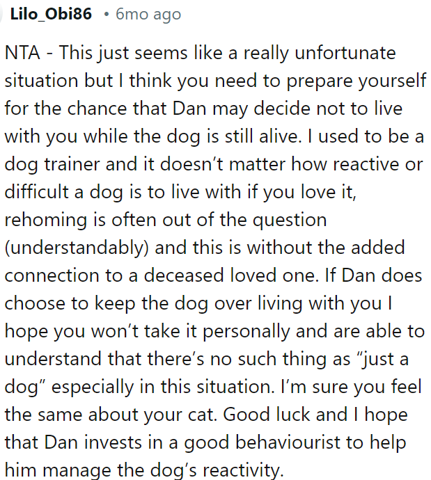 Encouraging Dan to seek professional help for the dog's behavior could be beneficial.