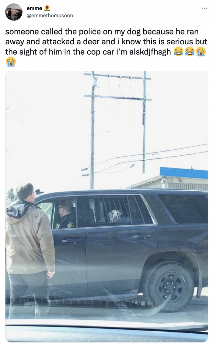 40. Do not say anything and demand your shark of a lawyer immediately