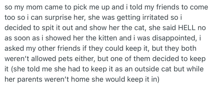 As expected, when OP’s mom arrived to pick him up, she rejected the idea of keeping the cat. This prompted OP to hand it over to a friend to keep