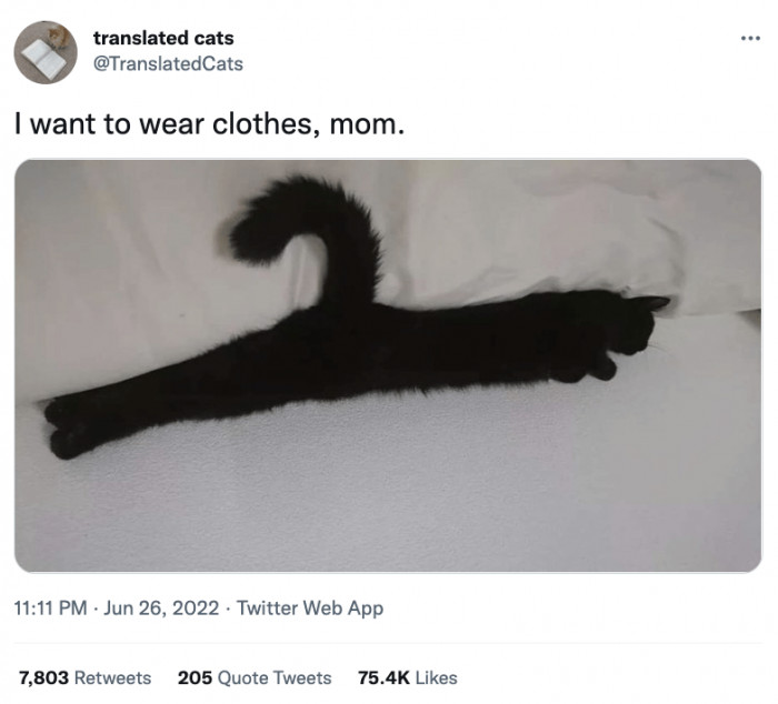 7. The most beautiful hanger in the world isn't a hanger at all.