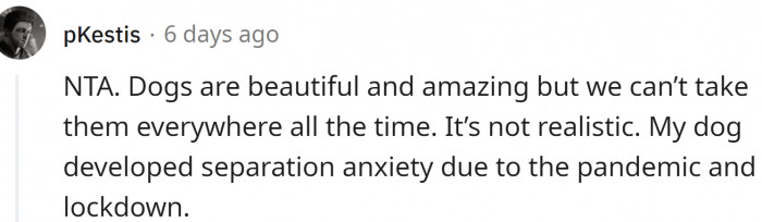 We can’t take our dogs everywhere all the time.