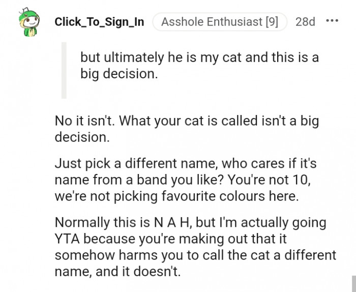 What your cat is called isn't a big decision