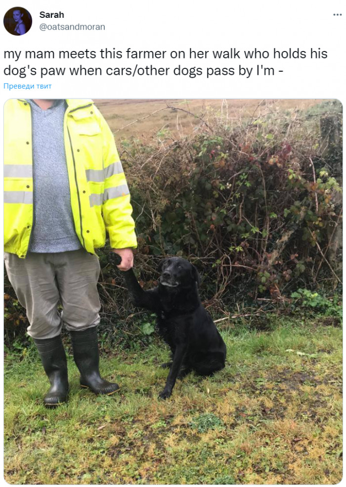 3. Holding their hands and showing great love and affection.