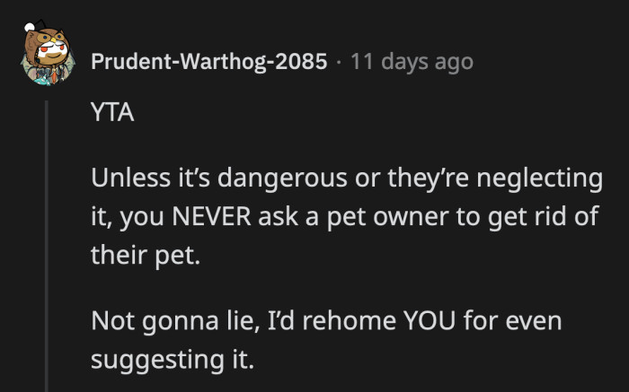 A harsh commenter said they would rather rehome OP than the dog if they were in the fiancé's shoes