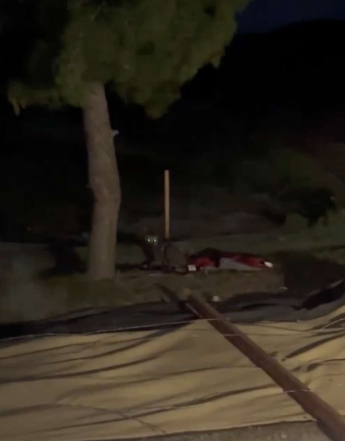 This is Moonie. She was found in a dirty old jacket, abandoned and starving.