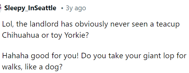 Even a Corgi isn't big, though, so we're not really sure what the problem was, but maybe the size has nothing to do with it.