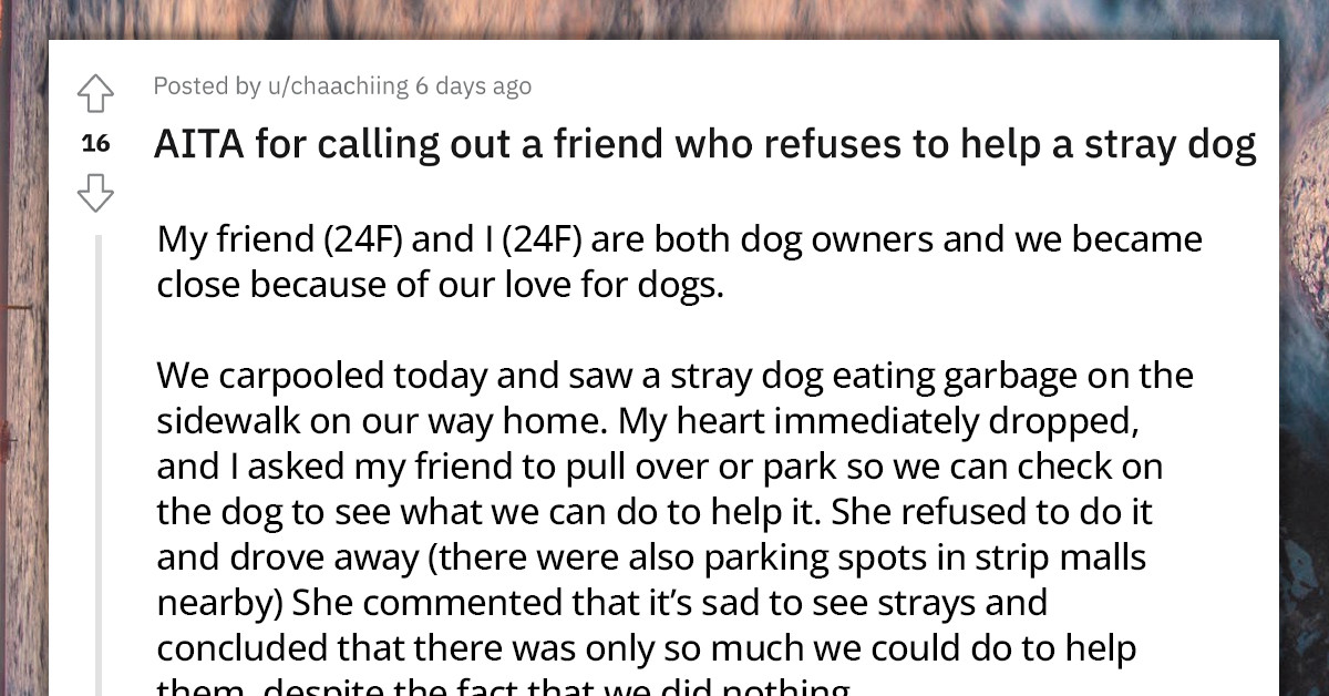 Redditor Calls Out Friend For Not Stopping Her Car And Rescuing A Dog