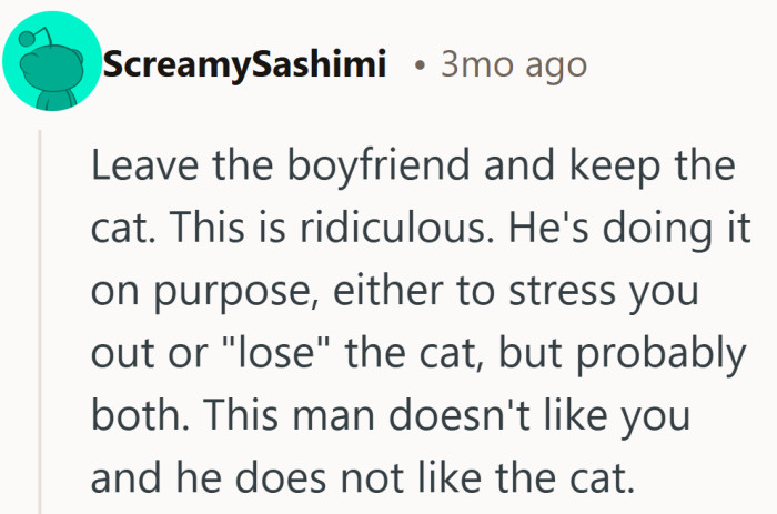 Nothing like a runaway door gap to make strangers vote in favor of the cat’s custody.