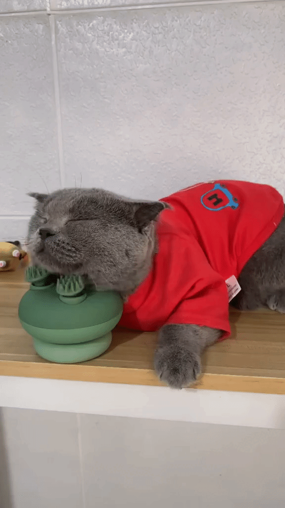 Here is a snippet of the video...