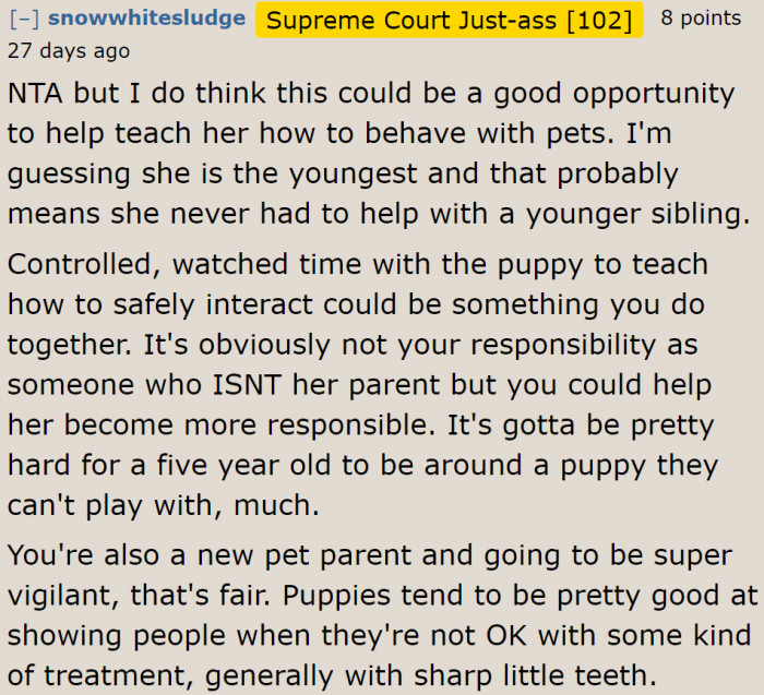 A Redditor thinks that she should take this opportunity to teach her sister how to respect dogs.