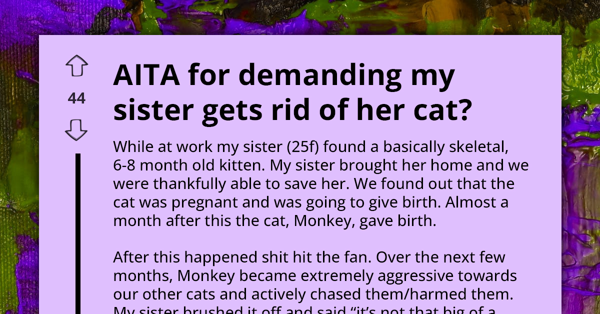 Family Demands Rehoming Of Aggressive Rescue Cat After Beloved Pet Goes Missing Following Attack By Feline