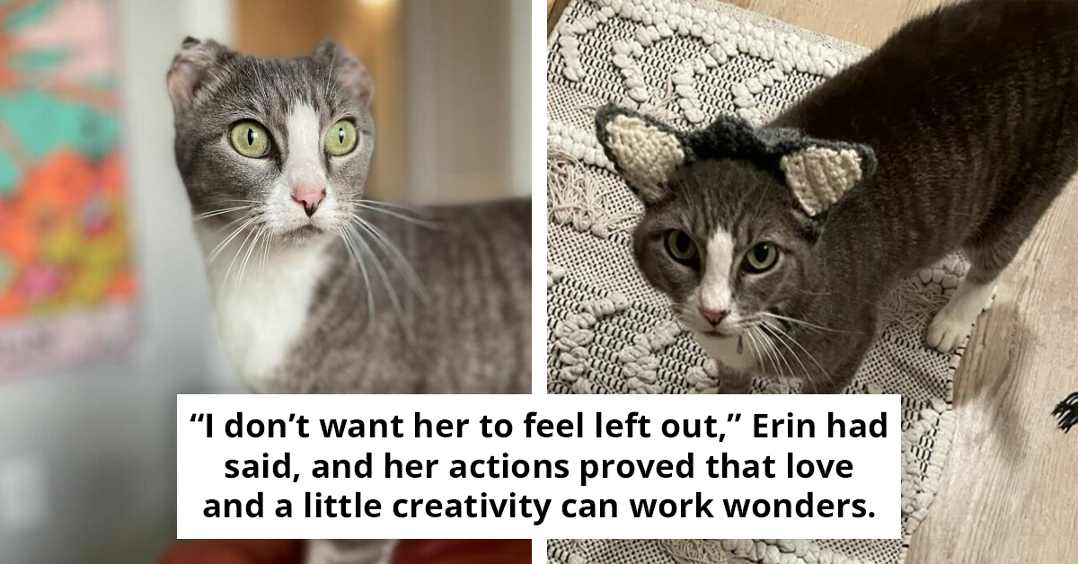 Cat’s Heartbreaking Story Of Survival And The Foster Family Who Restored Her Trust In Humanity