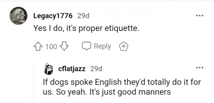 Proper etiquette entails scratching your dog's itches