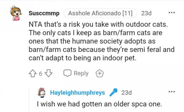 Cats that can adapt to being indoor pets