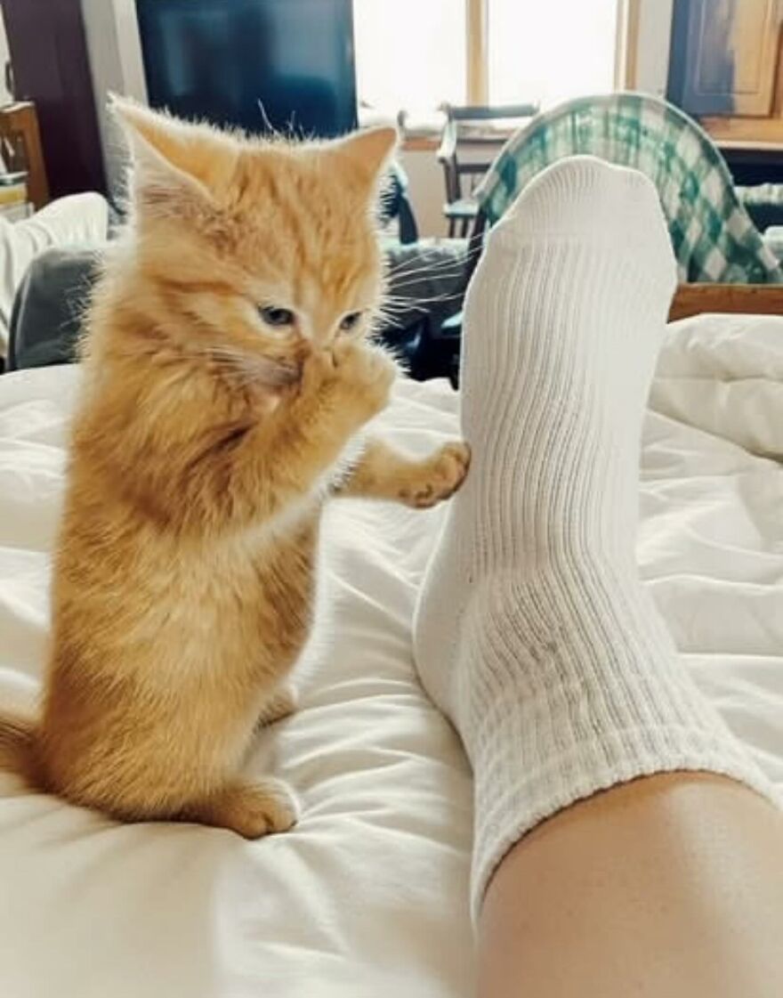 Instant regret: the face says it all.