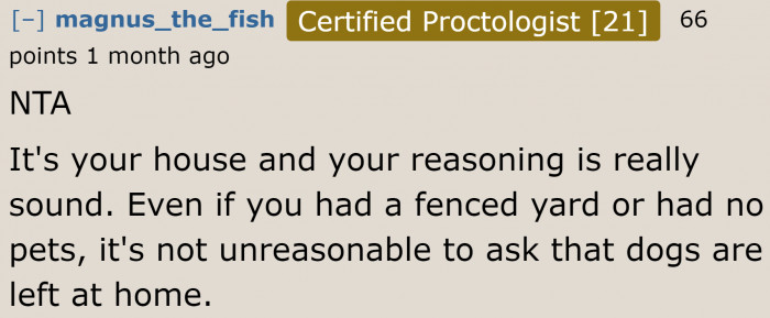 If they can't leave their dog behind, they should just look for a sitter for the day.