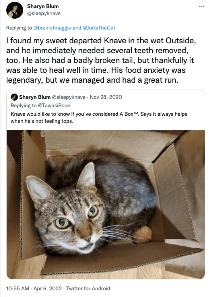 Jorts was right about them having feelings that may not be great a lot of the time, but with a little patience, you can guide them to a better path.