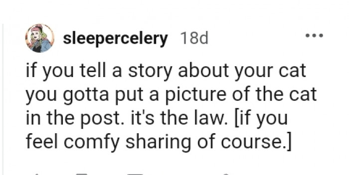 This Redditor had to explain to the OP what cat tax means