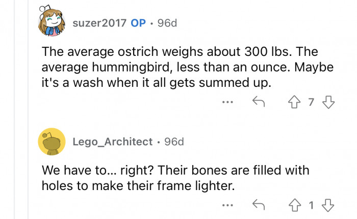 Some birds are huge, and their weight could add up.