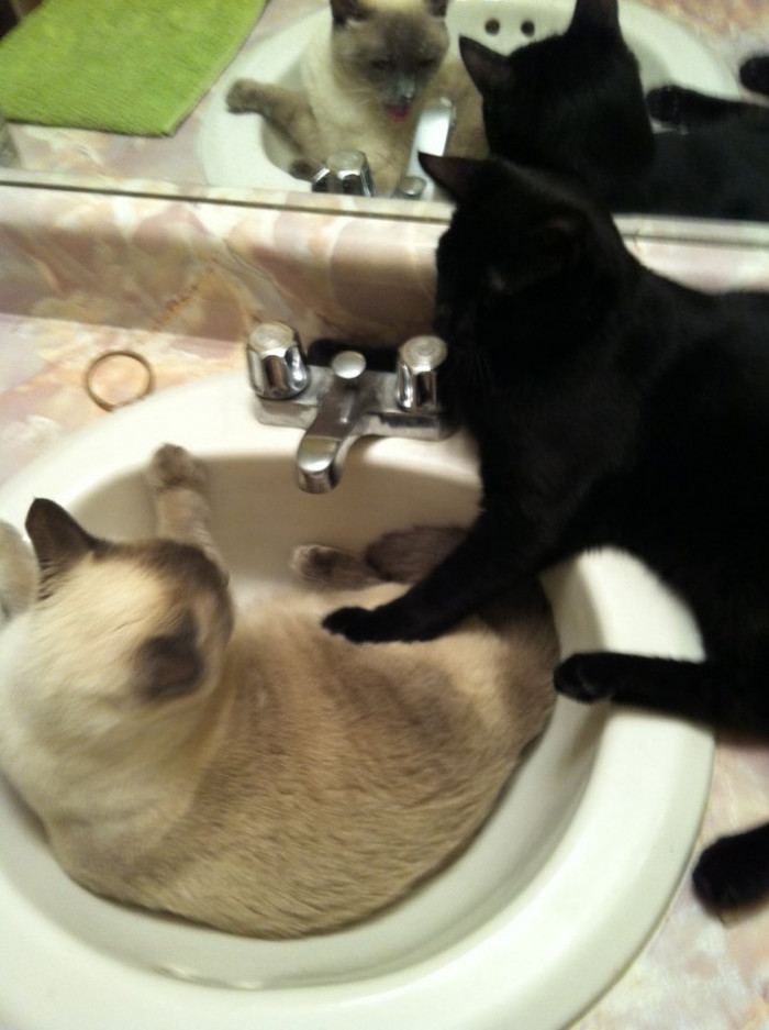 13. Hey, I want to check out your chilling spot. Can you get out?