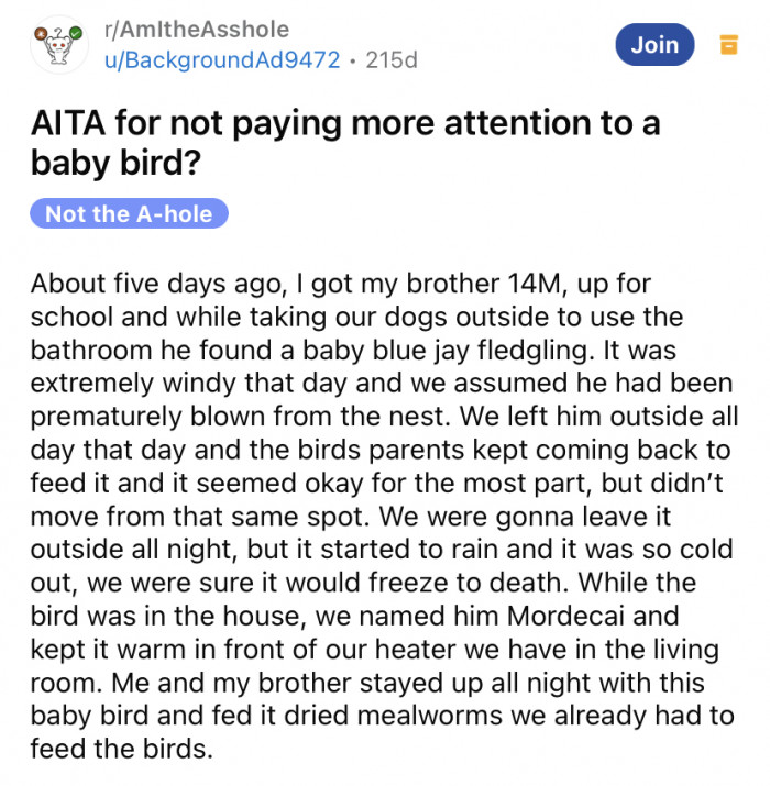 The Reddit user asked the online community for advice on a situation that ensued after their brother found a baby bird.
