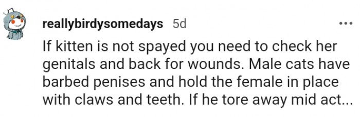 1. You need to check the cat for wounds