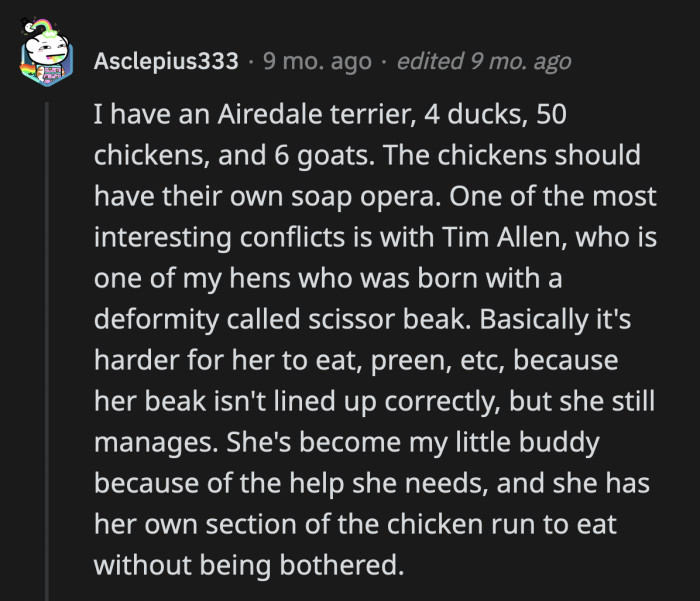 21. A prima donna chicken named Tim Allen sounds hilarious!