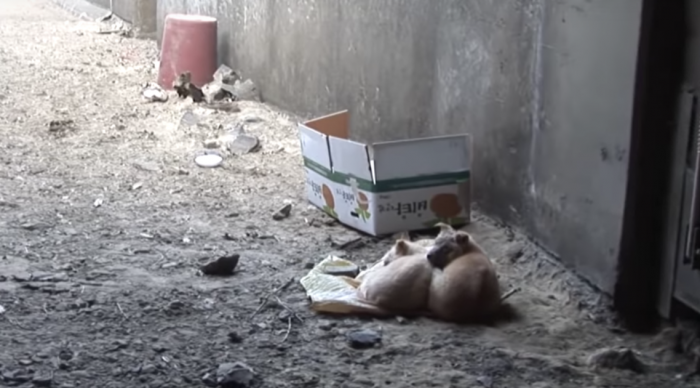 I can't imagine how they felt.