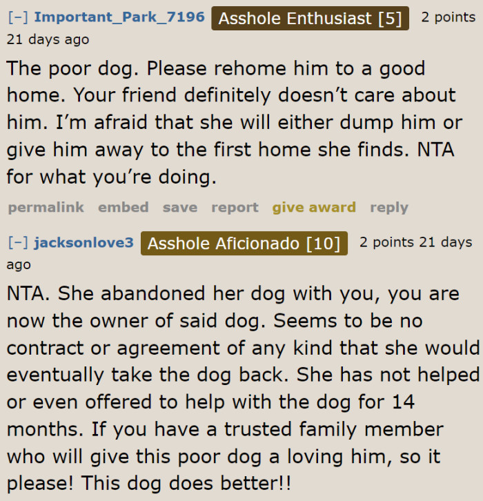 It's a lot better to rehome the dog than to return it to its owner.
