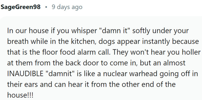 One Redditor shares his funny experience