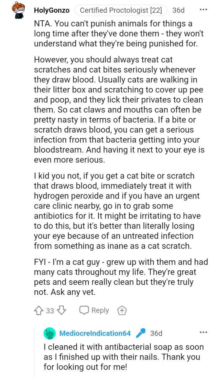 You should always treat cat bites and scratches as serious