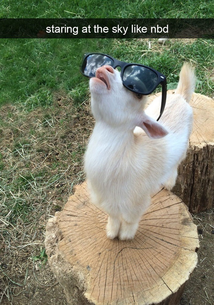 11. Just enjoying the sun