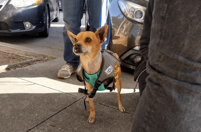 8. "One month ago, Jimmy Parker came home."