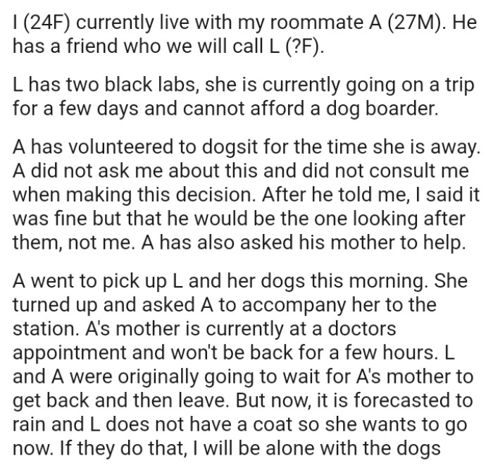 The OP told her roommate that he would be the one looking after the dogs and not her
