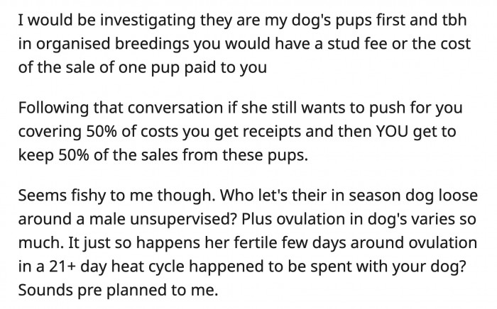 Way too many things had to go right for this to happen and it does reek of an intentional breeding