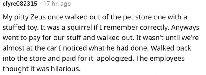 I apologized, but the employees found it hilarious