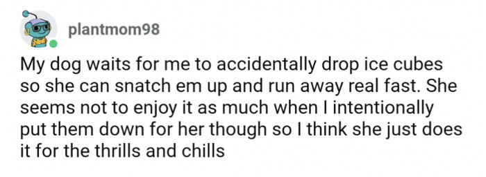 25. Pretend ice thievery