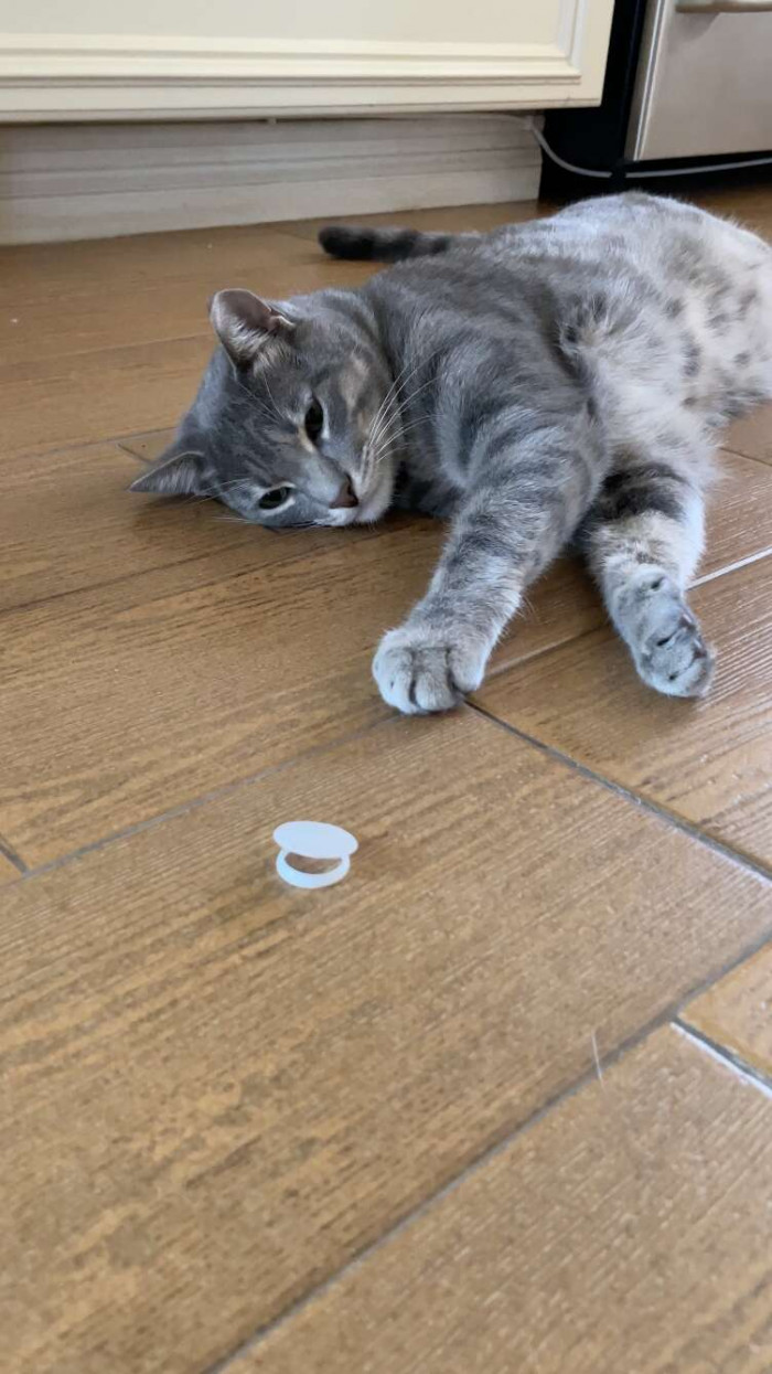 While Ollie loves getting new freshness seals, he also keeps all of the old ones