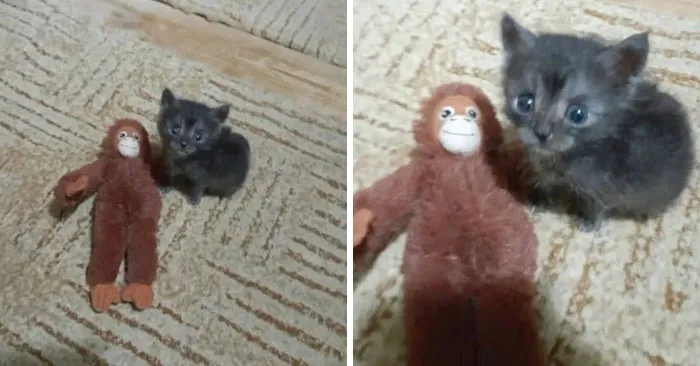 27. They met in daycare. Now they run the living room.