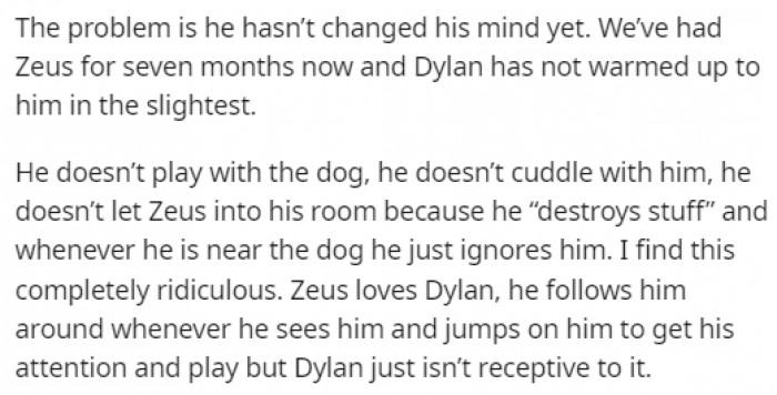He expected Dylan to change his mind after spending some time with the dog, but even after seven months, nothing has changed, and the father couldn't understand it.