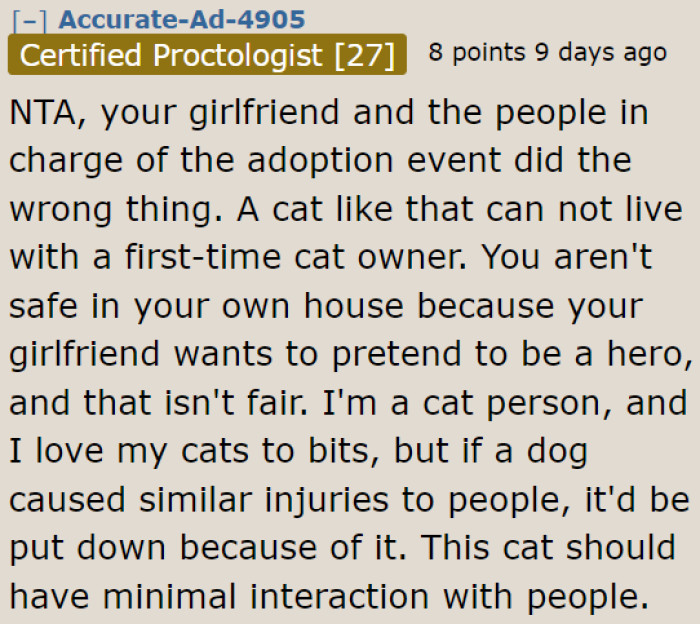 It's all on the girlfriend and the adoption staff. It isn't the OP's fault to come to this decision.