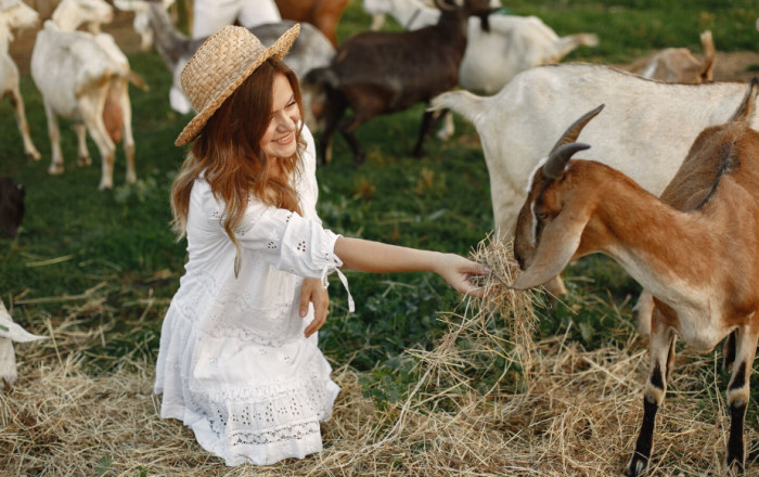 Meat-Producing Livestock