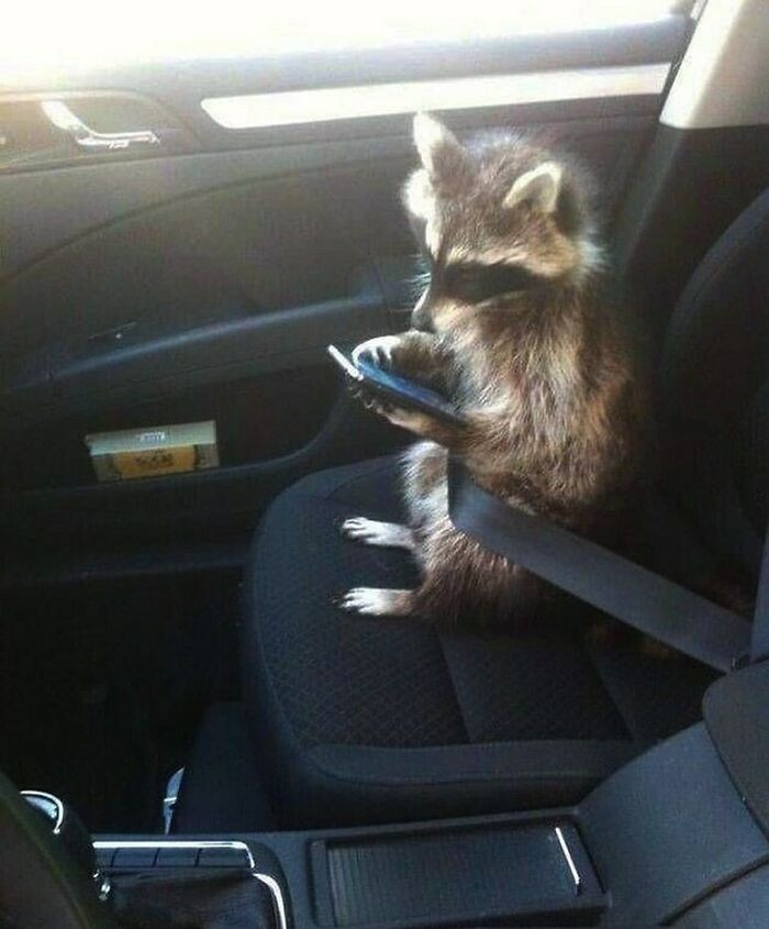 6. Hey Barry, have you heard the latest happenings in town?