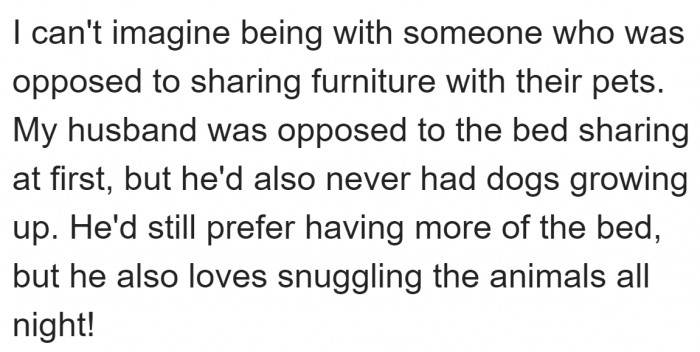 The warmth of dogs changes people's hearts.
