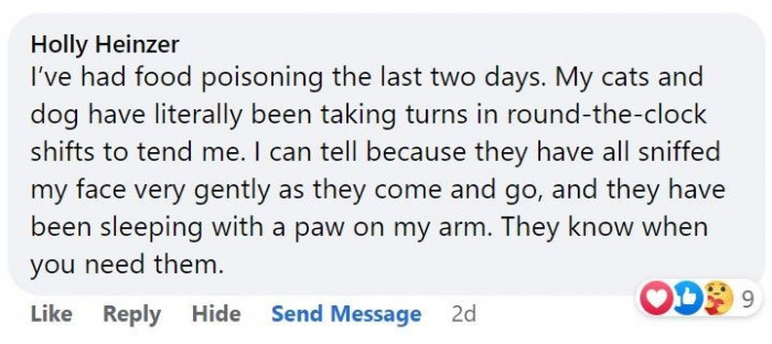 1. For some reason, cats know when we need them.