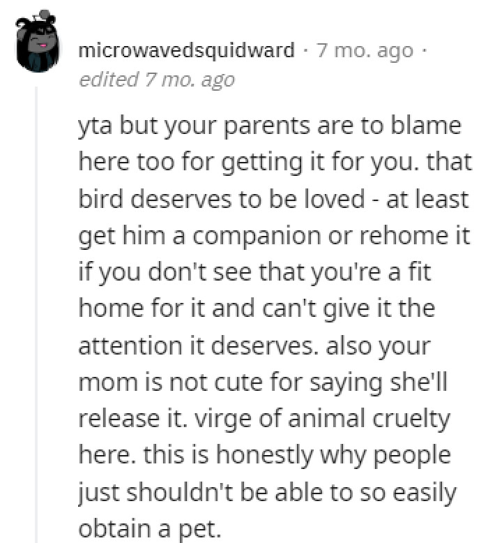 The opinions in the comments were mixed