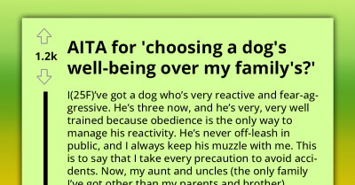 Dog Owner Gets Branded As The A-Hole By Her Mom And Entitled Relatives For Prioritizing Her Dog's Needs Over Theirs