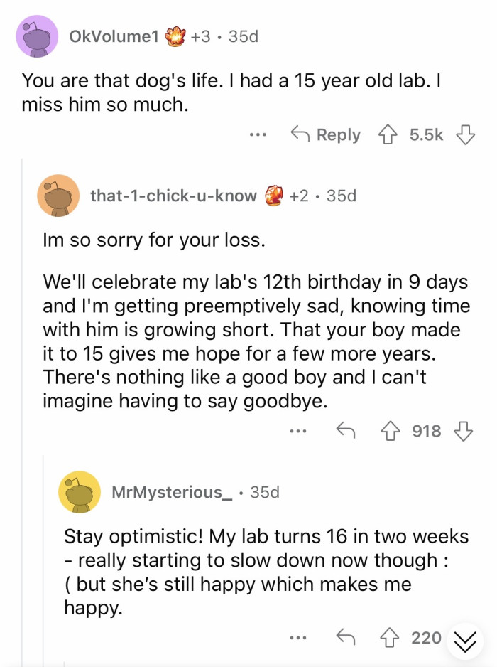 They are each other's life.